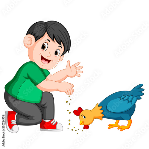boy give seed to chicken eat