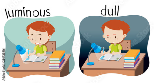 Opposites luminous and dull