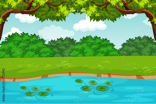 green pond nature scene