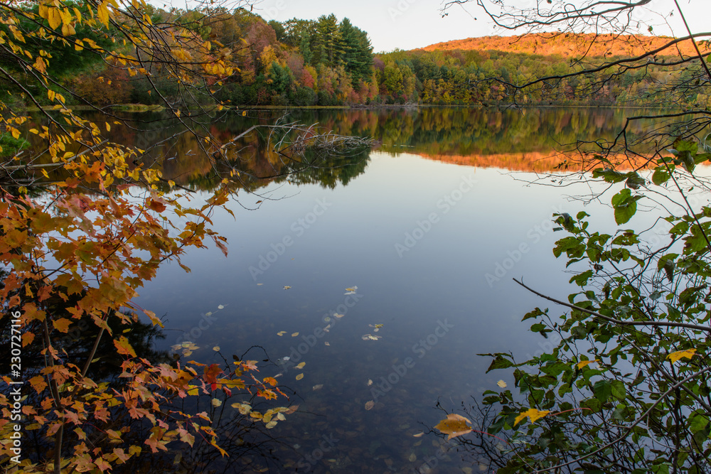 Golden Hours in Naugatuck Forest Golden Hours in Naugatuck Forest
