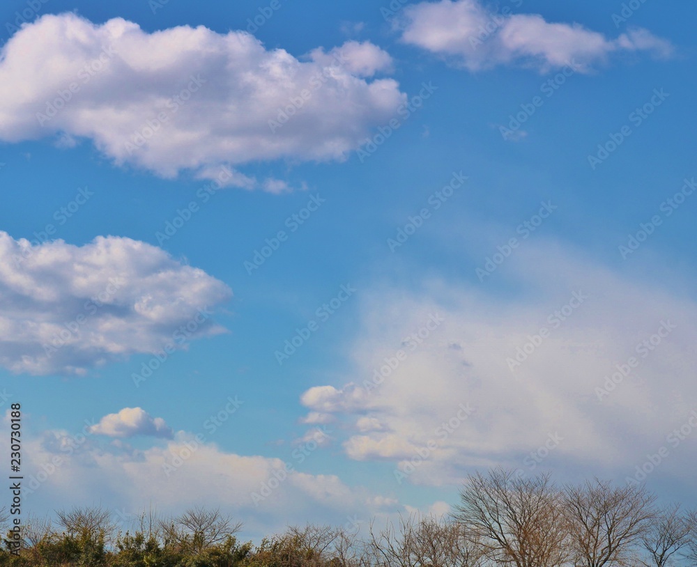 空 冬 関東 空 冬 関東