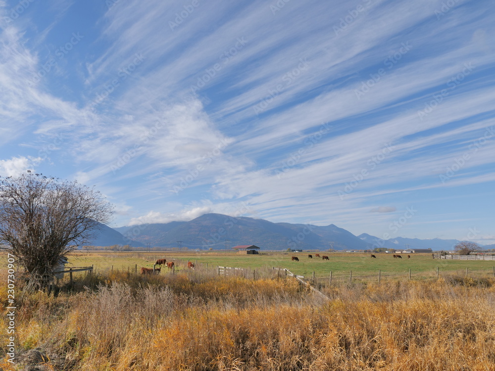 Beautiful Autumn scenes from Creston,British Columbia Beautiful Autumn scenes from Creston,British Columbia