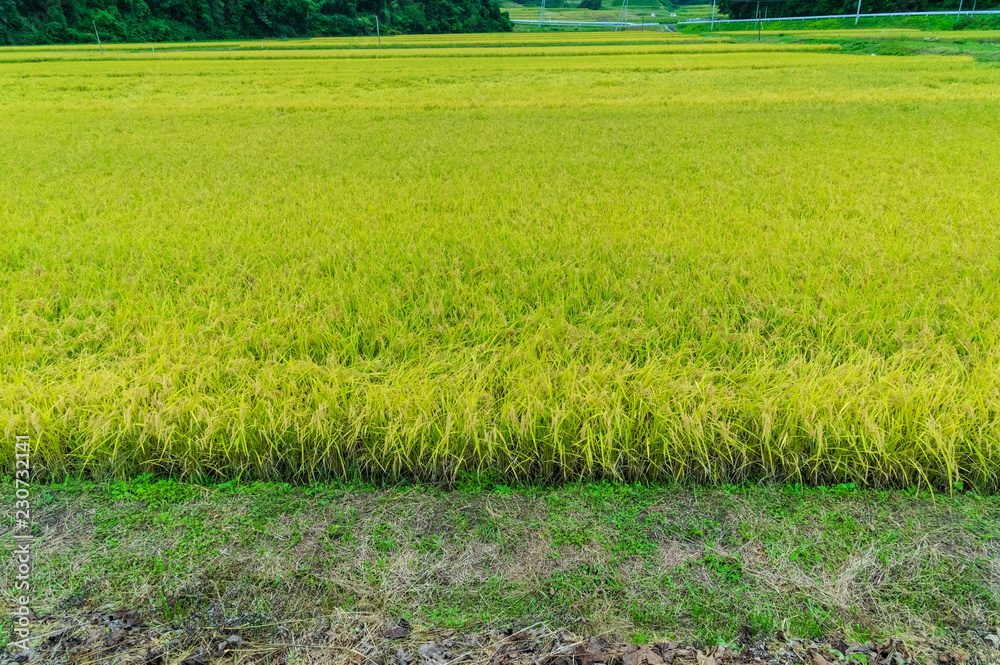 Obraz premium 岩手県花巻市の町並み