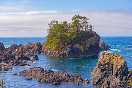Canvas Print Rugged shoreline of wild pacific trail in Ucluelet, Vancouver Island, BC