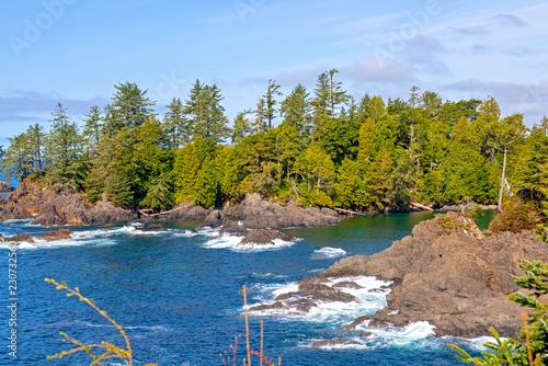 Rugged shoreline of wild pacific trail in Ucluelet, Vancouver Island, BC