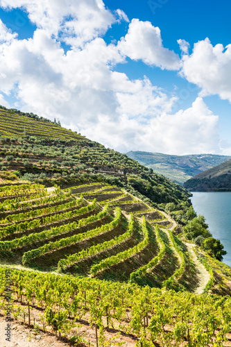 Views of the Portuguese nature