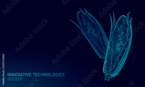 GMO corn gene modified plant. Science chemistry biology genetics engineering innovation organic eco food technology 3D render geometric background template. banner vector illustration