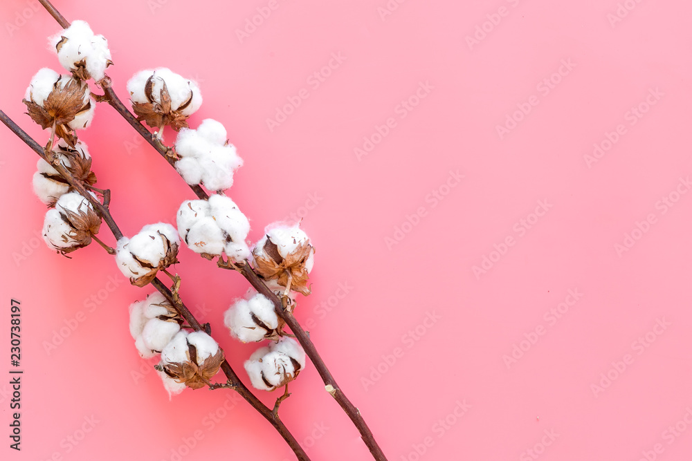 Cotton sorce. Collect cotton. Cotton plant with white flowers