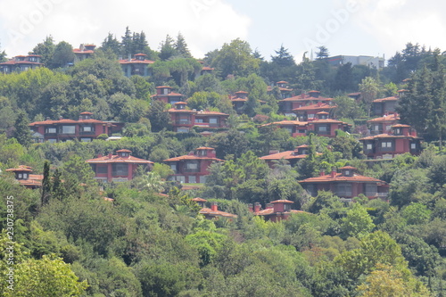 aerial view of the city
