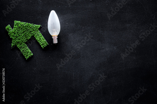 Enegry saving technology concept. House cutout made of green grass near light bulb on black background top view copy space