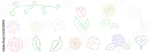 植物　手描き