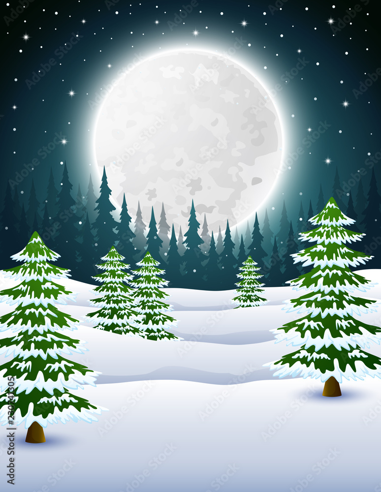 Winter Pine Trees Night