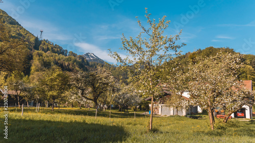 Beautiful view near Bergen - Bavaria - Germany