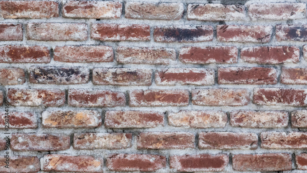 Fototapeta premium Brick wall texture