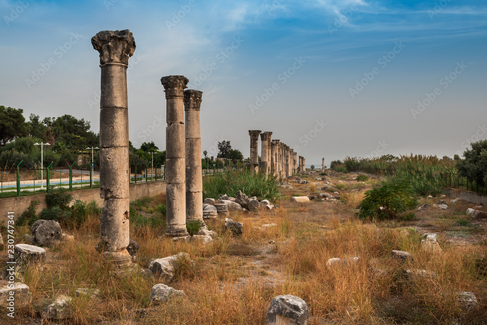 Soloi Pompeiopolis ancient port city. ,King road. Mersin - Turkey