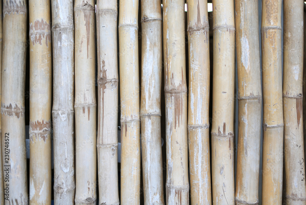 Vertical bamboo fence background. Vertical bamboo fence background.