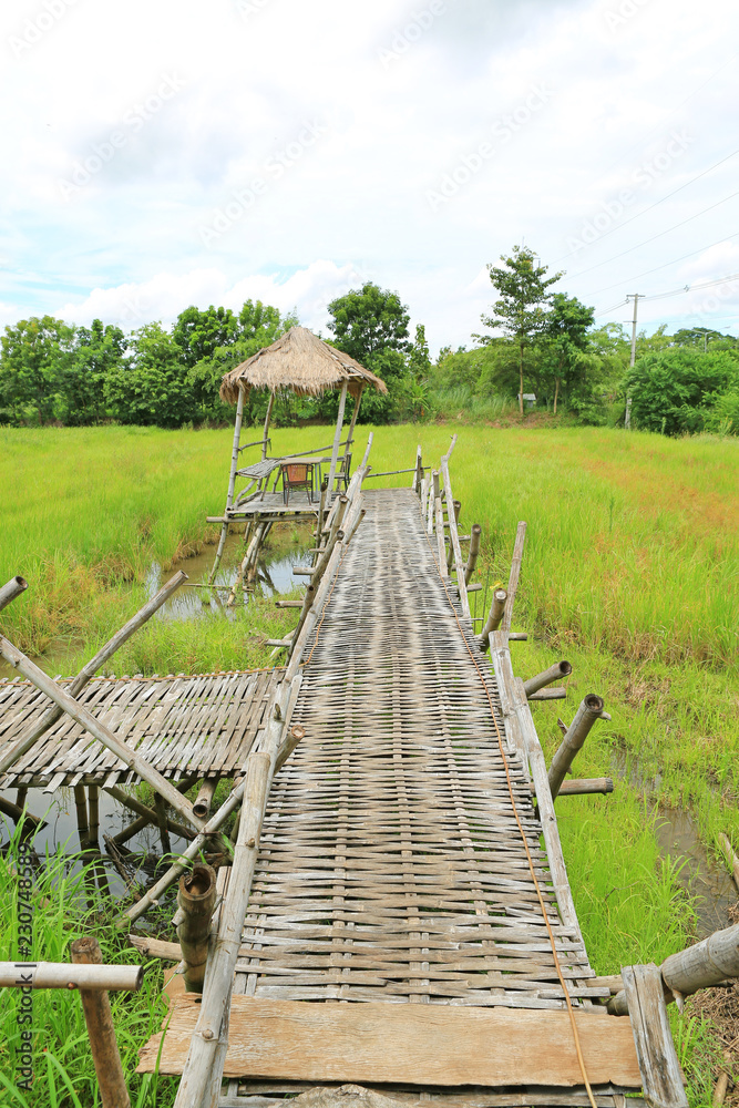 Wooden bamboo walkway bridge crossing paddy field to hut with cloud sky and mountain background.