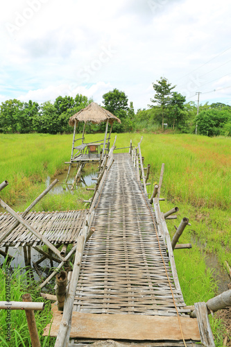 Wooden bamboo walkway bridge crossing paddy field to hut with cloud sky and mountain background.