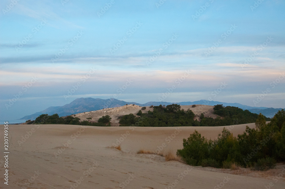 Deserted sandy beach with clean fine sand at sunrise Deserted sandy beach with clean fine sand at sunrise