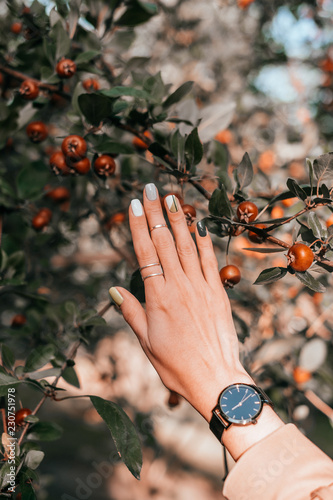 Woman hand with beautiful minimalistic manicure with geometry design, rings and black watches on the fall red malus apples tree background.