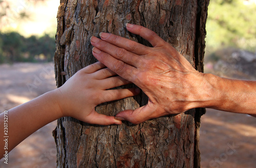 image of old woman and a kid holding hands together through a walk in the forest.