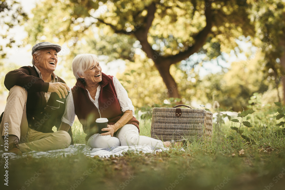 Fototapeta premium Senior couple having a great time on a picnic