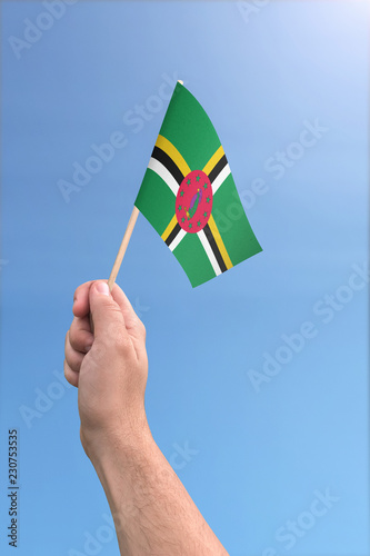 Hand holding Dominica flag high in the air, with a clear blue sky