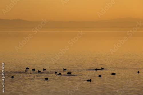 Beautiful view of a lake at sunset, with orange tones and birds on water