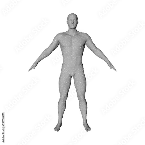 Standing man. Isolated on w...