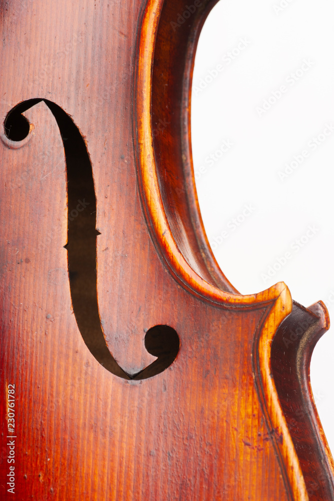 Violin close up isolated on white background Violin close up isolated on white background