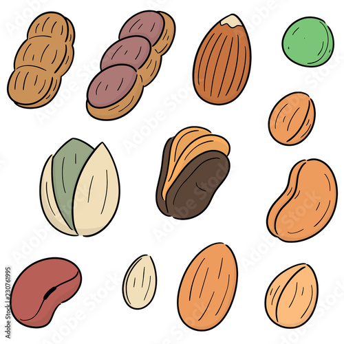 vector set of beans