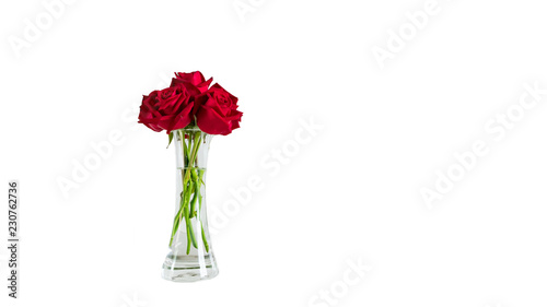 Fototapeta Naklejka Na Ścianę i Meble -  Roses in glass vase in white background