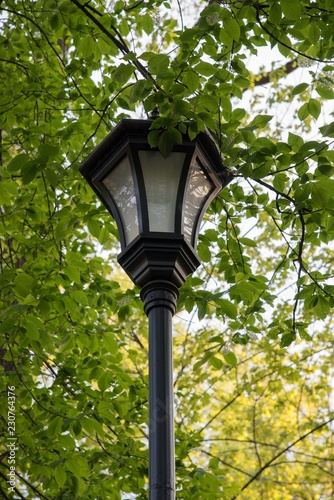 old street lamp 