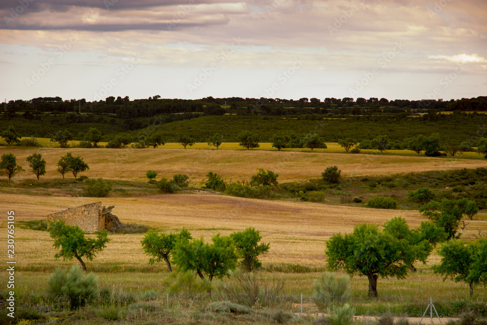 paisaje natural con cielo