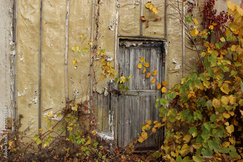 Old Door. Old Doors. Image of wooden door. Old House. Old Wooden Door On Brick Wall. Old Wooden Door.

