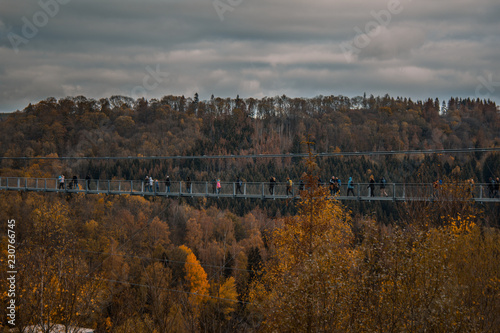 Titan RT suspension bridge in Harz Mountains National Park  Germany
