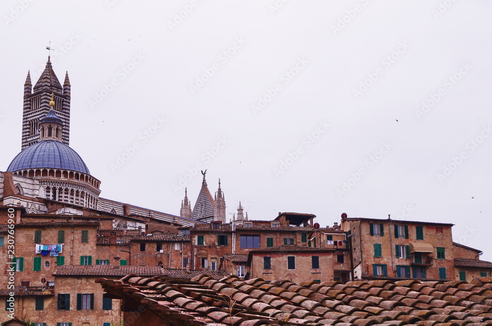 Obraz premium Landscape of Siena, Italy