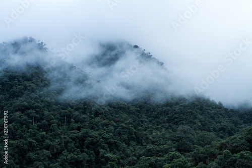 View on cloud rain forest in Peru, jungle in tropical region, travel adventure in Peru, clouds above rain forest, beautiful landscape scenery, Wallpaper