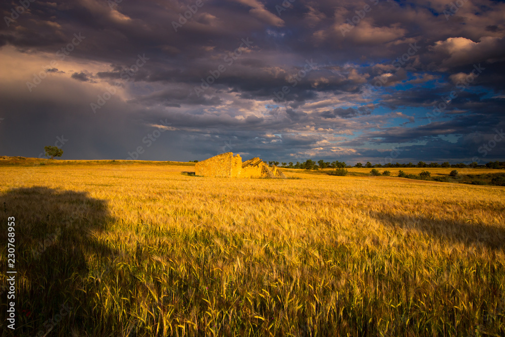 paisaje natural con cielo