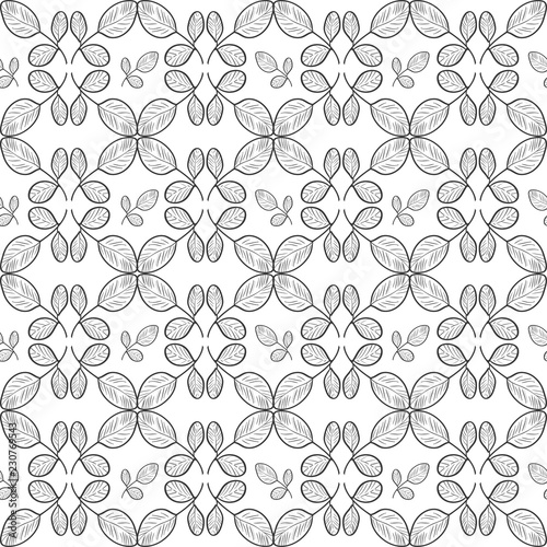 Moringa. Background, wallpaper, texture, seamless. Sketch. Tracery. Monophonic