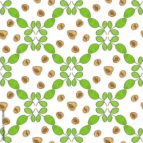 Moringa. Plant. Leaves and seeds. Background, wallpaper, texture, seamless. Sketch. Color pattern.