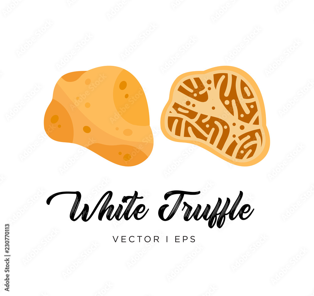 White truffle mushroom, cut sliced, vector editable illustration. Flat simple style. White truffle mushroom, cut sliced, vector editable illustration. Flat simple style.