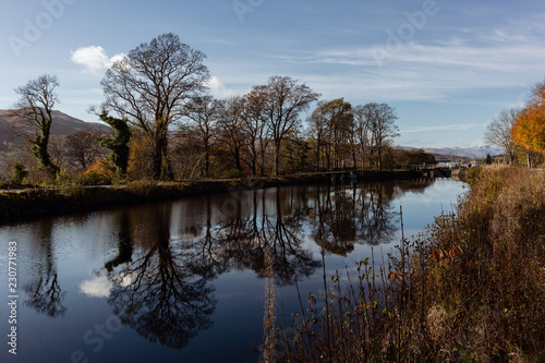 Photography Bare trees on canalside