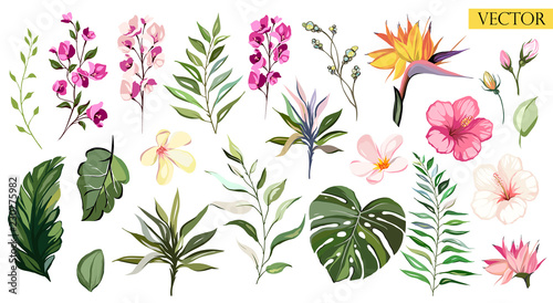 Tropikalne kwiaty wektorowe. zestaw ilustracji kwiatowy. egzotyczny liść na białym tle. kolekcja z kwiatami na zaproszenie na przyjęcie lub święto