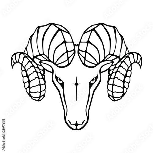 Aries graphic icon. Head ram black sign isolated on white background. Symbol argali. Vector illustration photo