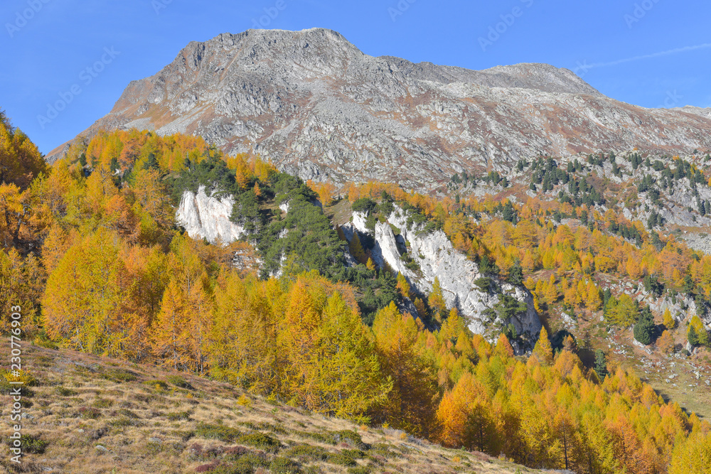 Cima in alta montagna, circondata da larici gialli e abeti verdi in autunno