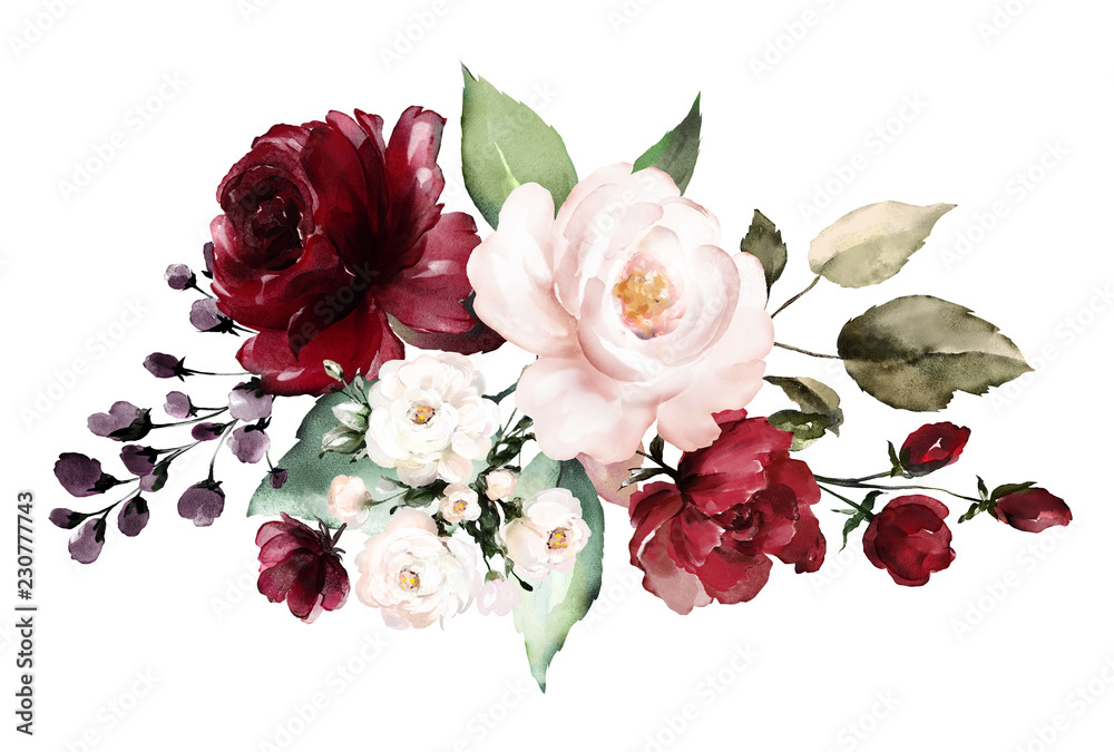 watercolor burgundy flowers. floral illustration, Leaf and buds. Botanic  composition for wedding, greeting card. branch of flowers - abstraction  roses Stock Illustration