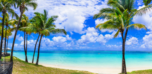 Perfect tropical beach scenery with palms and turquoise sea. Mauritius island © Freesurf