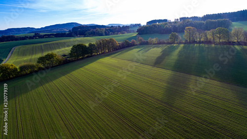 Feld und Wald von oben im Gegenlicht