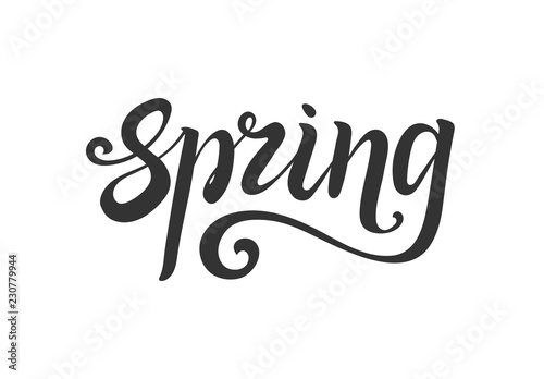 spring lettering. Hand write. Decorative element for design